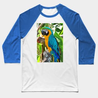 Macaw Parrot Yellow And Blue Bird Baseball T-Shirt